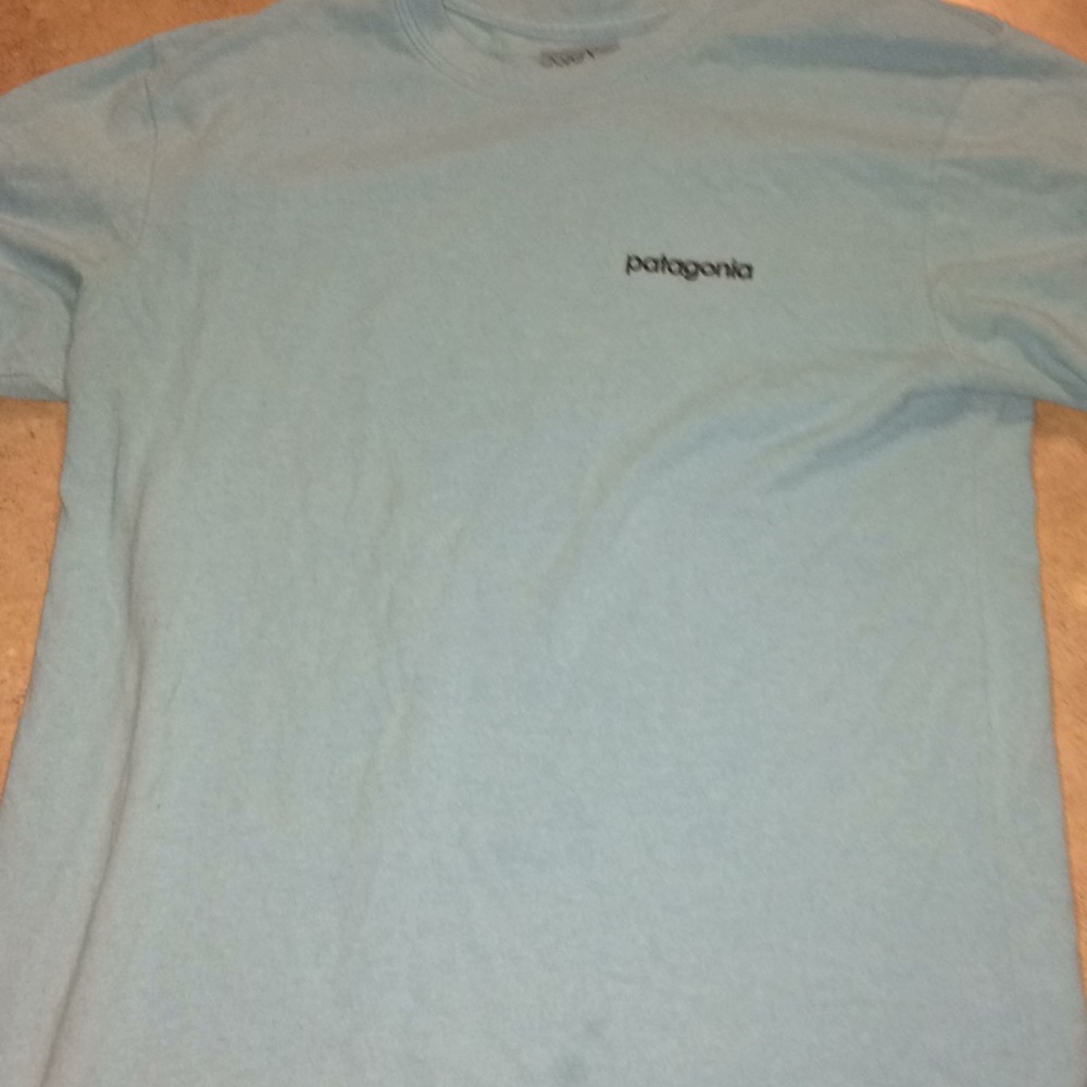 Blue short sleeve Patagonia shirt.